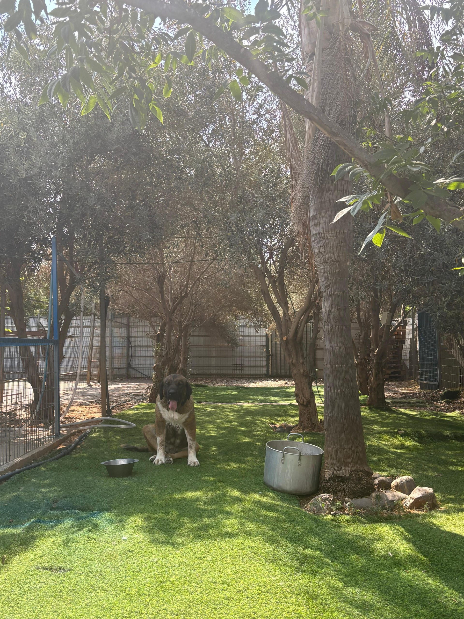 תמונה של WhatsApp‏ 2025-07-20 בשעה 10.18.36_ee90dfb5