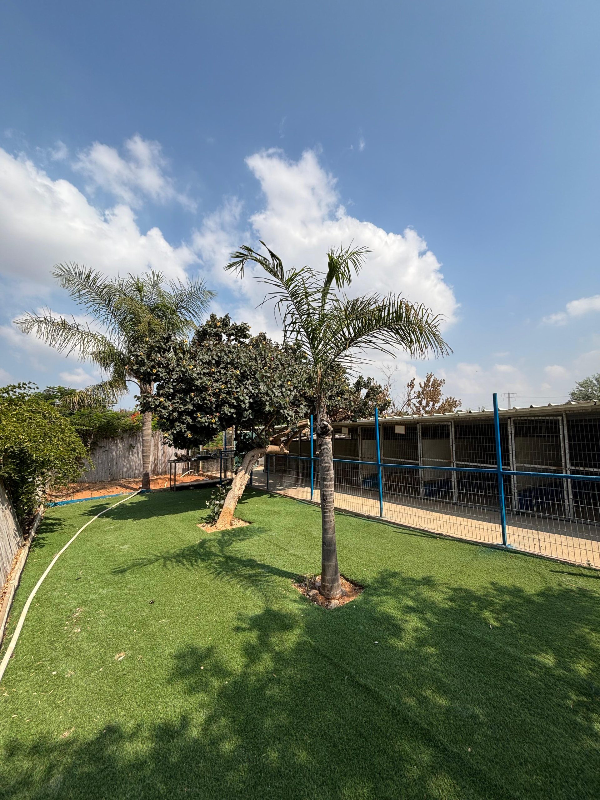 תמונה של WhatsApp‏ 2025-07-20 בשעה 10.18.38_fe996d18